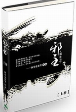 重生之邪王
